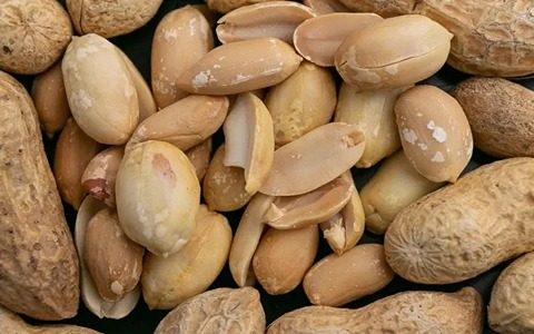 تصویر 1 از قیمت بادام زمینی اصفهان + خرید باور نکردنی
